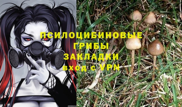 прущая мука Абаза