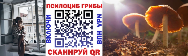 продажа наркотиков  Гаврилов Посад  Галлюциногенные грибы мицелий 